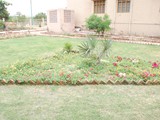 Park-View-in-Bakh-e-Nabavi