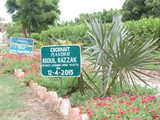 Plantation-by-Mr.-Abdul-Razzak-District-&-Session-Judge-Thatta